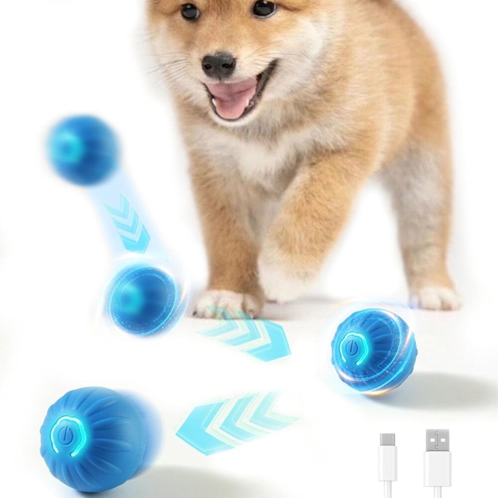 Durable Rechargeable Bouncing Pet Ball for Indoor & Outdoor Play | 2" Size